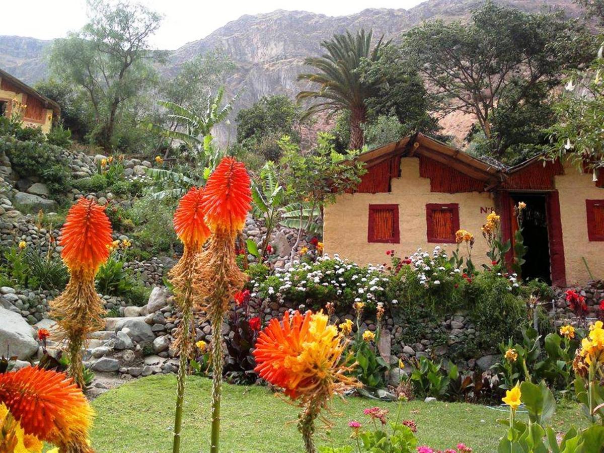 Paraiso Las Palmeras Lodge Cabanaconde Exterior foto
