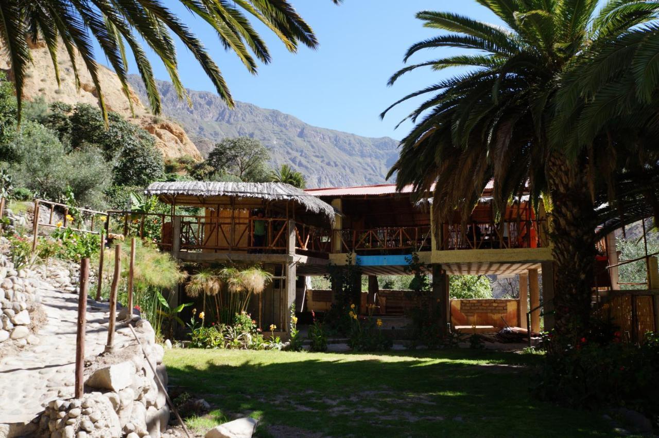 Paraiso Las Palmeras Lodge Cabanaconde Zimmer foto